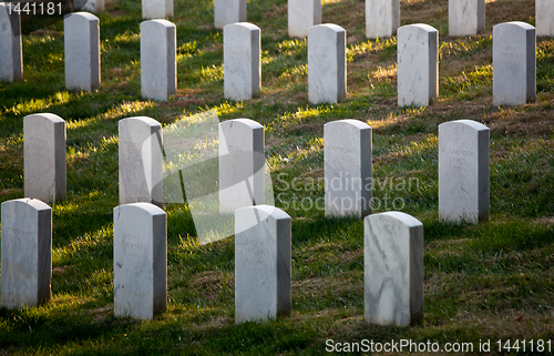 Image of Row of grave stones in Arlington