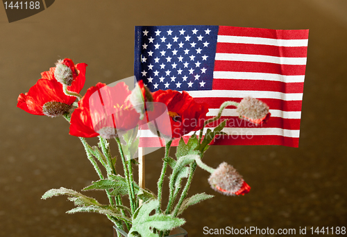 Image of American Flag with red flowers