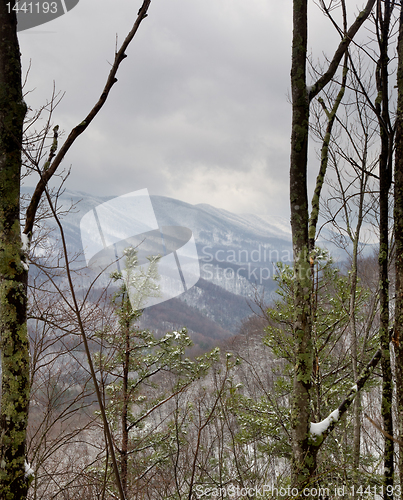 Image of Snowy hike in Smoky Mountains