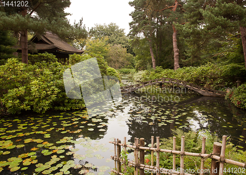 Image of Japanese garden