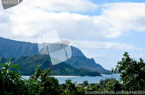 Image of Na Pali coastline framed by trees