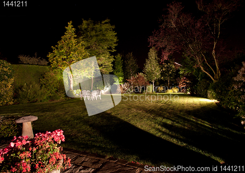 Image of Floodlit garden