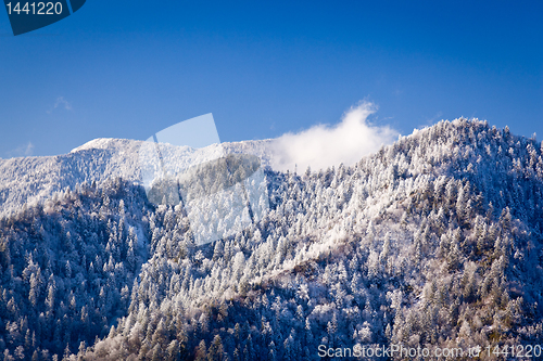 Image of Mount leconte in snow in smokies