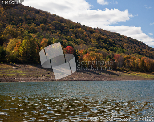 Image of Reflection of fall leaves