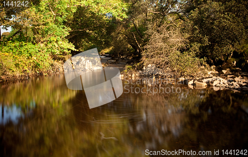 Image of Slow motion water in secluded river