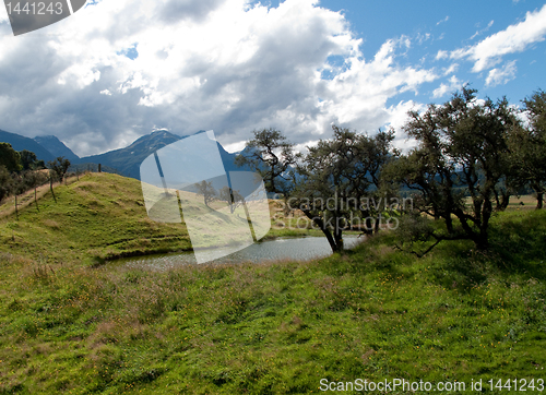 Image of Rolling countryside in New Zealand