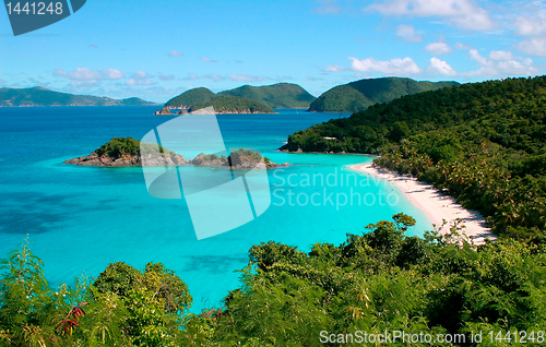 Image of Trunk Bay on the island of St John