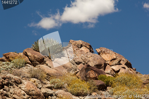 Image of Overview of Anza Borrego State Park