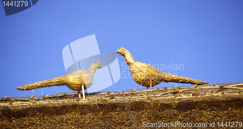 Image of Thatched Birds on roof