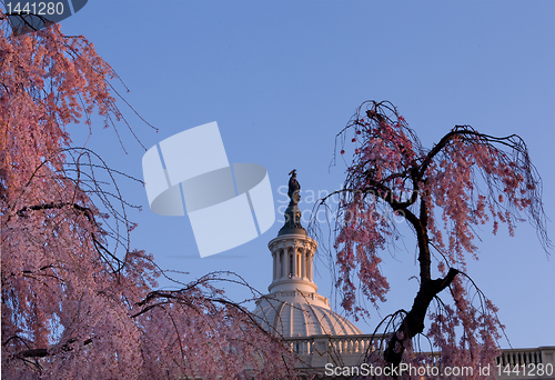 Image of Sunrise behind the dome of the Capitol in DC