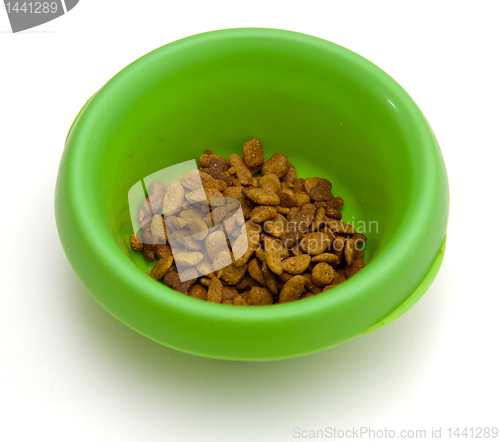 Image of Green pet bowl with biscuits