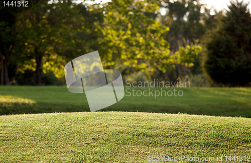 Image of Backlit view of lawn with background trees