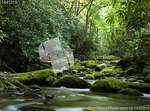 Image of Peaceful river flowing over rocks