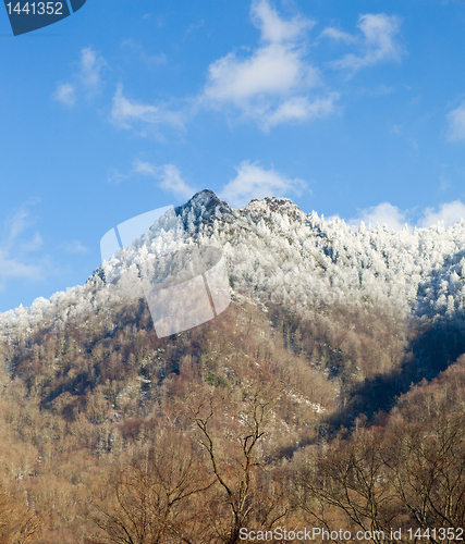 Image of Chimney Tops in snow in smokies