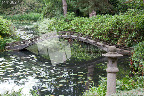 Image of Japanese garden