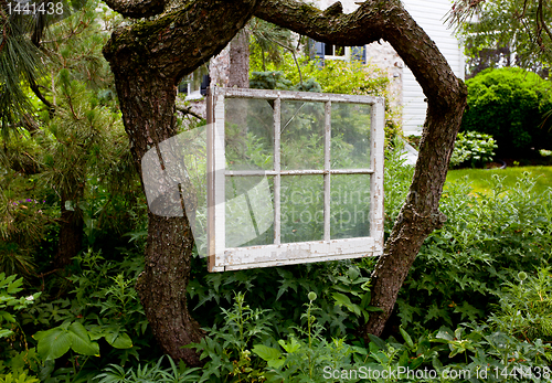 Image of Faded painted window frame in garden