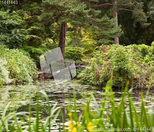 Image of Japanese garden