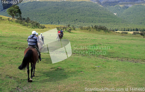 Image of Horse ride into the countryside