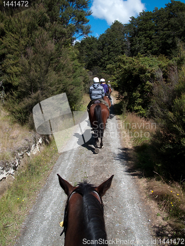 Image of Horse ride into the countryside