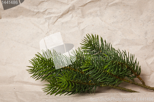 Image of christmas green