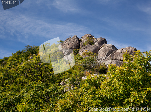 Image of Hiker overlooking Shenandoah valley