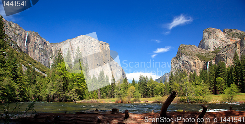 Image of Log framing Yosemite Valley