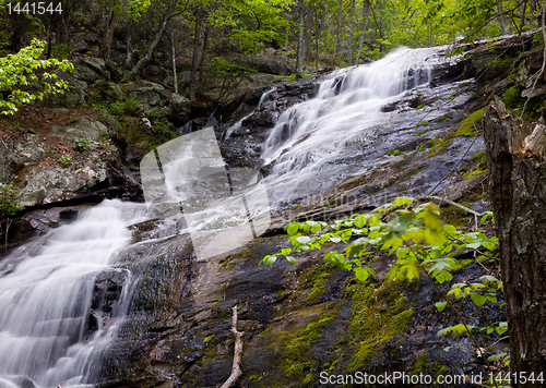 Image of Overall Run waterfall