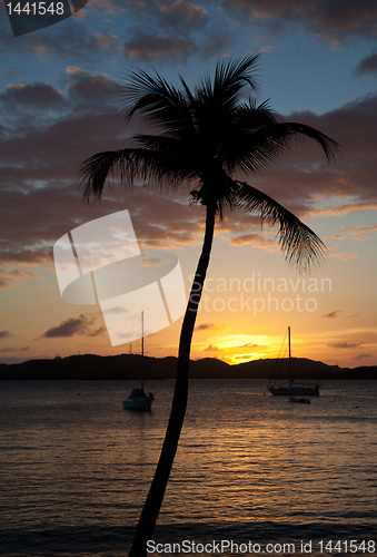 Image of Sunset over yacht