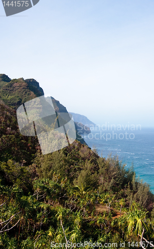 Image of Kalalau trail on Kauai