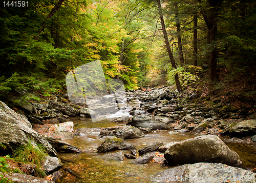 Image of Water rushing down river