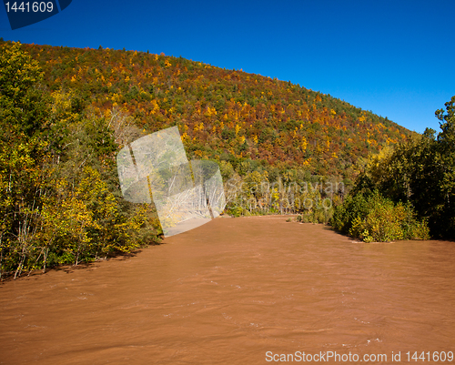 Image of Raging flooded river