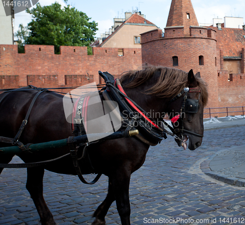 Image of Old Town of Warsaw