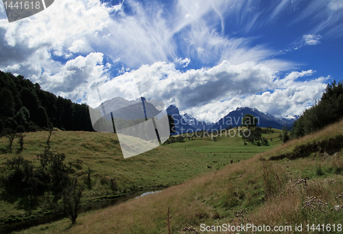 Image of Rolling countryside in New Zealand