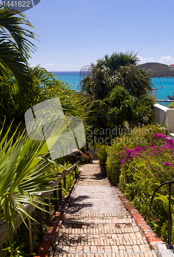 Image of Steep 99 steps in St Thomas