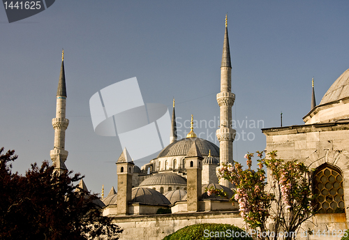Image of Blue Mosque 8