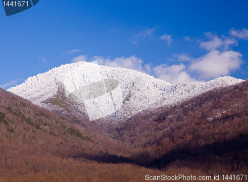 Image of Mount leconte in snow in smokies