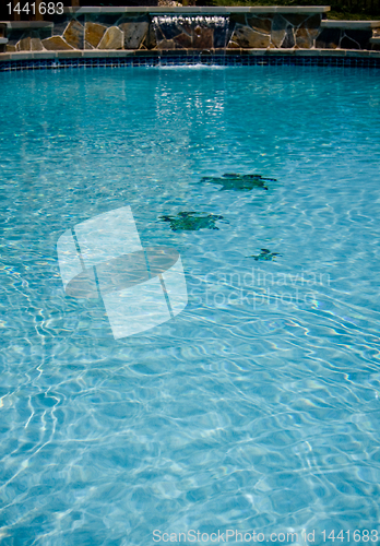 Image of Swimming Pool waterfall