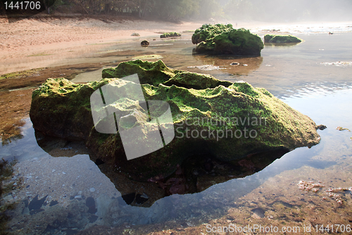 Image of Moss covered rock reflected in pool