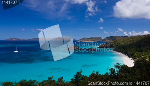 Image of Trunk Bay on St John