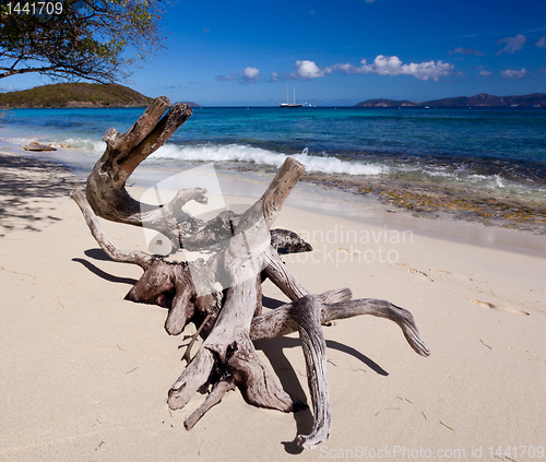 Image of Hawksnest Bay on St John