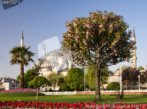 Image of Blue Mosque 3