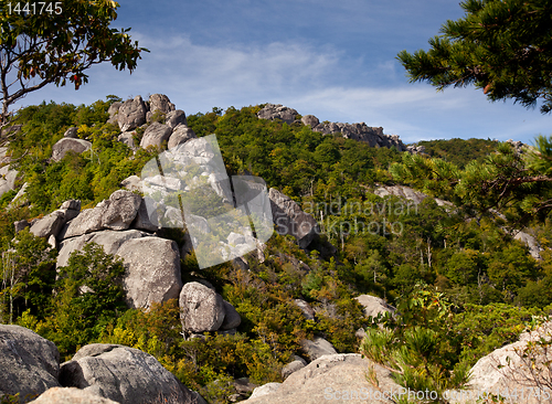 Image of Old Rag trail in Shenandoah valley