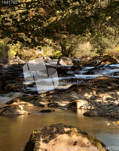 Image of Slow motion water in small river