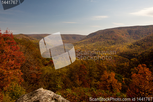 Image of Autumn valley