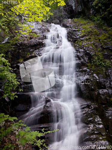 Image of Overall Run waterfall