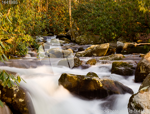 Image of Raging stream in spring in Smokies