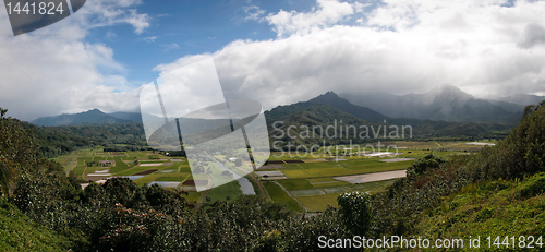 Image of Panorama of Hanalei Valley on Kauai