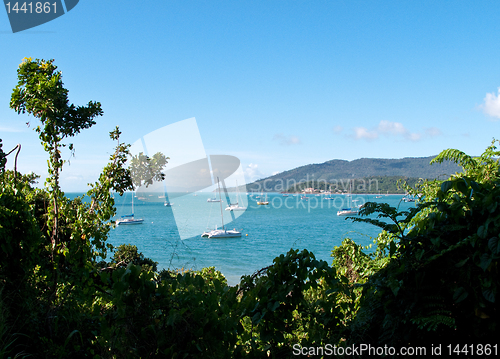 Image of Boats at Whitsunday