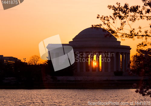 Image of Cherry Blossom and Jefferson Memorial