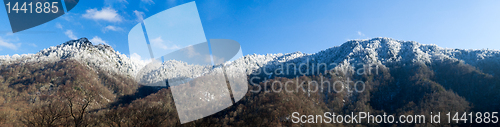 Image of Chimney Tops in snow in smokies